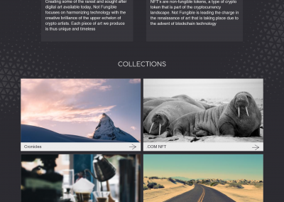 Website home page design